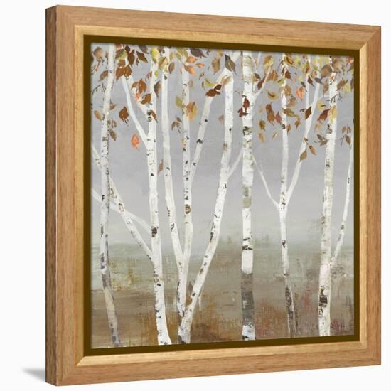 Fall Diffraction-Allison Pearce-Framed Stretched Canvas