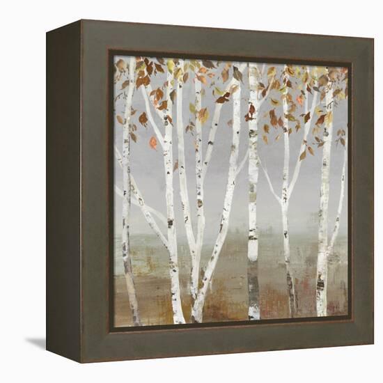 Fall Diffraction-Allison Pearce-Framed Stretched Canvas