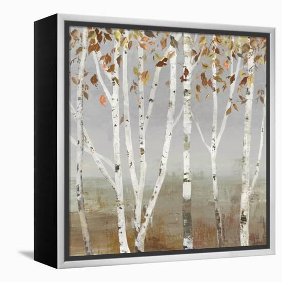 Fall Diffraction-Allison Pearce-Framed Stretched Canvas