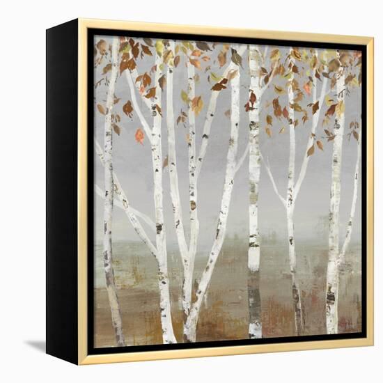 Fall Diffraction-Allison Pearce-Framed Stretched Canvas