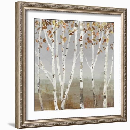 Fall Diffraction-Allison Pearce-Framed Art Print