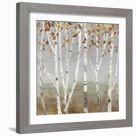 Fall Diffraction-Allison Pearce-Framed Art Print