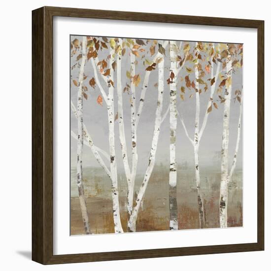 Fall Diffraction-Allison Pearce-Framed Art Print