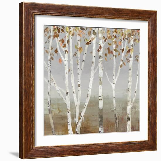 Fall Diffraction-Allison Pearce-Framed Art Print