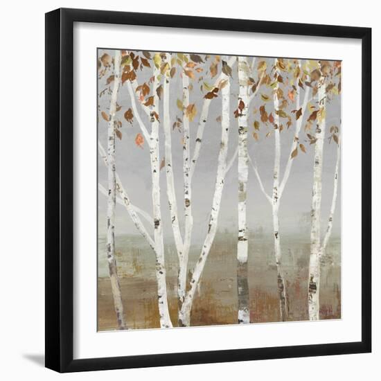 Fall Diffraction-Allison Pearce-Framed Art Print