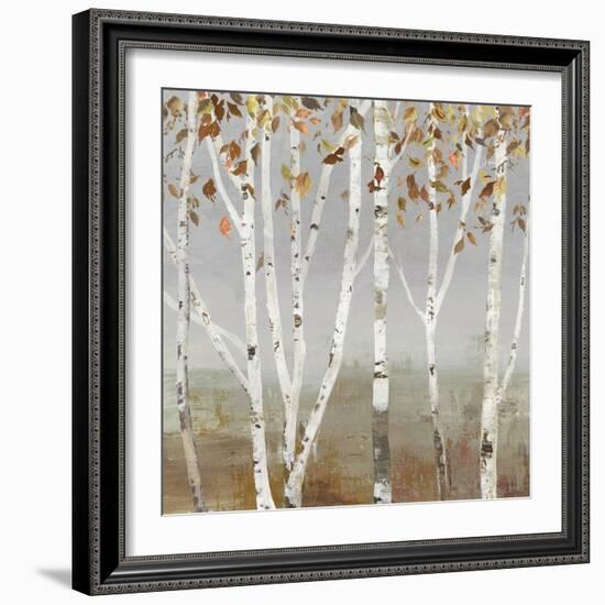 Fall Diffraction-Allison Pearce-Framed Art Print