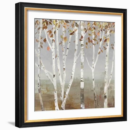 Fall Diffraction-Allison Pearce-Framed Art Print