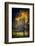 Fall Drama-Ursula Abresch-Framed Photographic Print