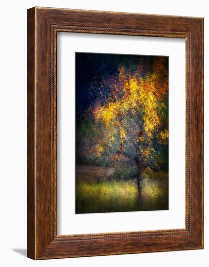 Fall Drama-Ursula Abresch-Framed Photographic Print