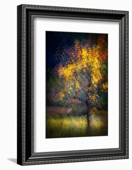 Fall Drama-Ursula Abresch-Framed Photographic Print