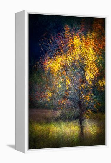 Fall Drama-Ursula Abresch-Framed Premier Image Canvas