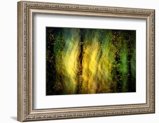 Fall Fantasy 1-Ursula Abresch-Framed Photographic Print