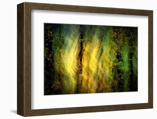 Fall Fantasy 1-Ursula Abresch-Framed Photographic Print