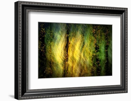 Fall Fantasy 1-Ursula Abresch-Framed Photographic Print