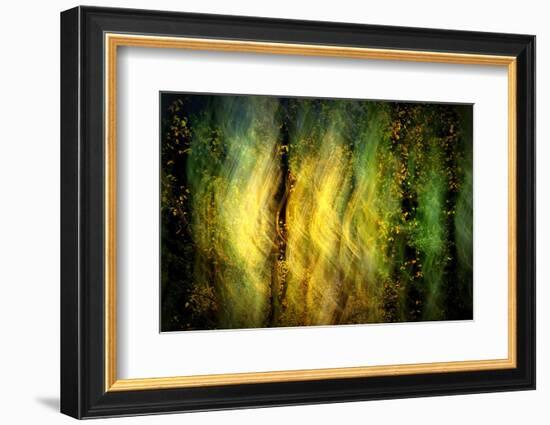 Fall Fantasy 1-Ursula Abresch-Framed Photographic Print