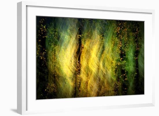 Fall Fantasy 1-Ursula Abresch-Framed Photographic Print