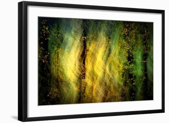 Fall Fantasy 1-Ursula Abresch-Framed Photographic Print