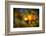 Fall Fantasy 1-Ursula Abresch-Framed Photographic Print