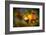 Fall Fantasy 1-Ursula Abresch-Framed Photographic Print