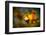 Fall Fantasy 1-Ursula Abresch-Framed Photographic Print