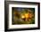 Fall Fantasy 1-Ursula Abresch-Framed Photographic Print