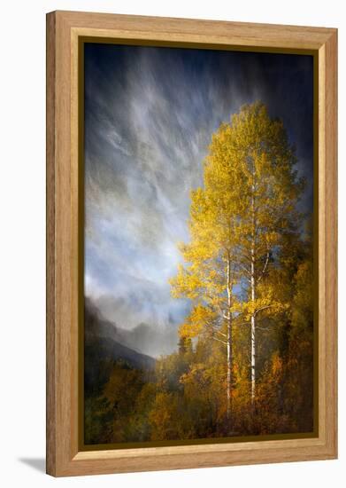 Fall Fantasy 2-Ursula Abresch-Framed Premier Image Canvas