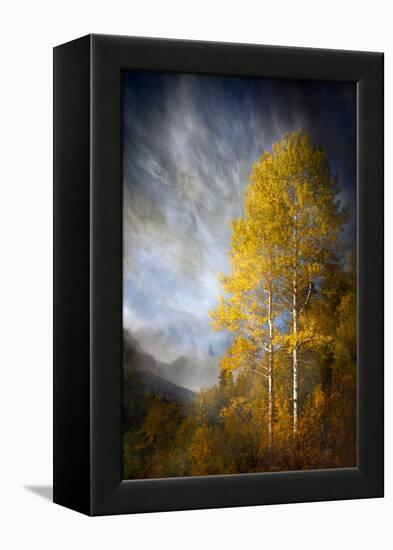 Fall Fantasy 2-Ursula Abresch-Framed Premier Image Canvas