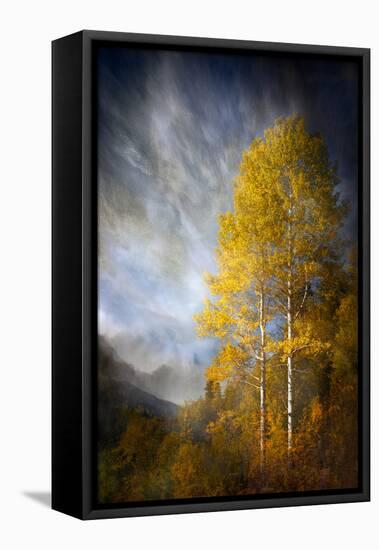 Fall Fantasy 2-Ursula Abresch-Framed Premier Image Canvas