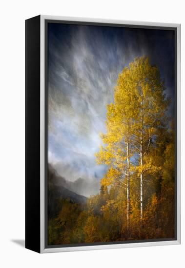 Fall Fantasy 2-Ursula Abresch-Framed Premier Image Canvas