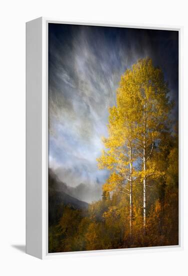 Fall Fantasy 2-Ursula Abresch-Framed Premier Image Canvas