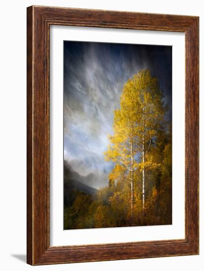 Fall Fantasy 2-Ursula Abresch-Framed Photographic Print