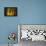 Fall Fantasy 2-Ursula Abresch-Framed Premier Image Canvas displayed on a wall