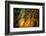 Fall Fantasy 2-Ursula Abresch-Framed Photographic Print