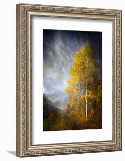 Fall Fantasy 2-Ursula Abresch-Framed Photographic Print