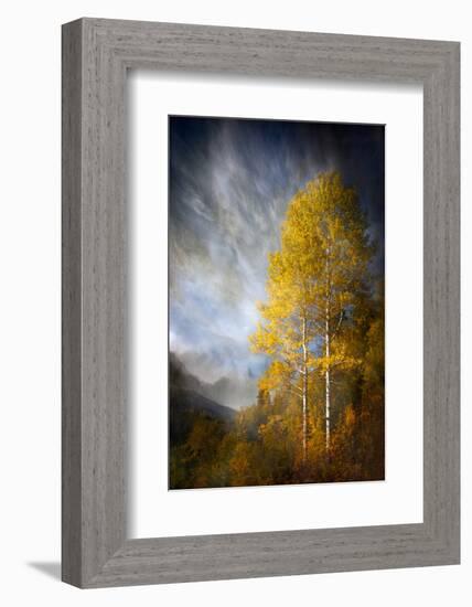 Fall Fantasy 2-Ursula Abresch-Framed Photographic Print