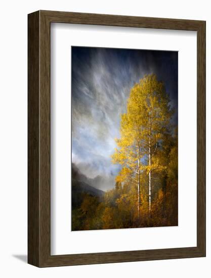 Fall Fantasy 2-Ursula Abresch-Framed Photographic Print