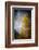 Fall Fantasy 2-Ursula Abresch-Framed Photographic Print