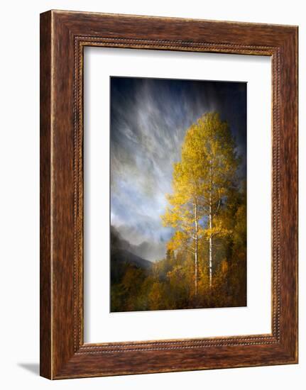 Fall Fantasy 2-Ursula Abresch-Framed Photographic Print