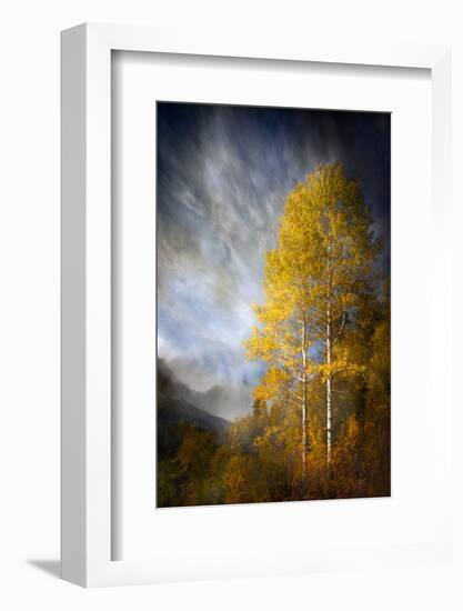 Fall Fantasy 2-Ursula Abresch-Framed Photographic Print