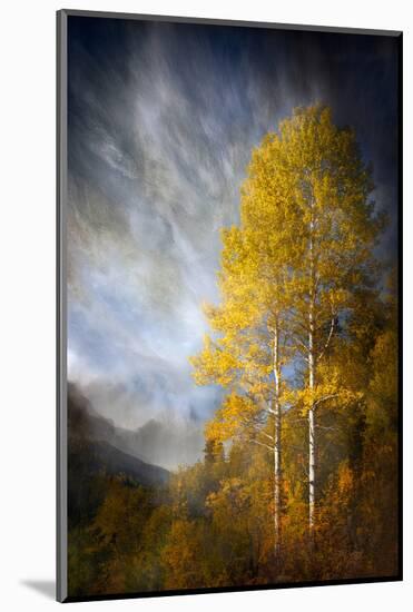 Fall Fantasy 2-Ursula Abresch-Mounted Photographic Print