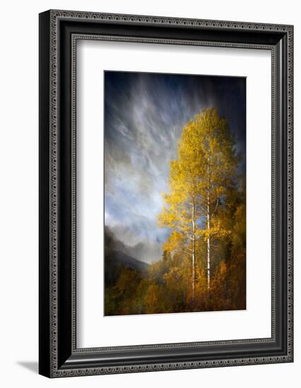 Fall Fantasy 2-Ursula Abresch-Framed Photographic Print