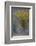 Fall Fantasy-Ursula Abresch-Framed Photographic Print