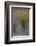 Fall Fantasy-Ursula Abresch-Framed Photographic Print