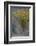 Fall Fantasy-Ursula Abresch-Framed Photographic Print