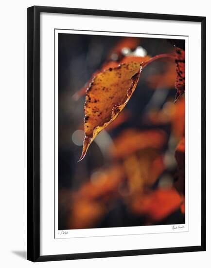 Fall Flames-Michelle Wermuth-Framed Giclee Print