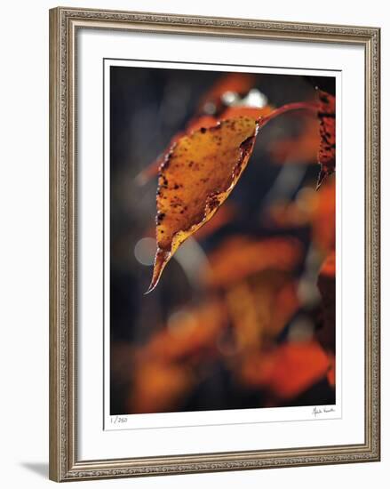 Fall Flames-Michelle Wermuth-Framed Giclee Print