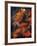 Fall Flames-Michelle Wermuth-Framed Giclee Print