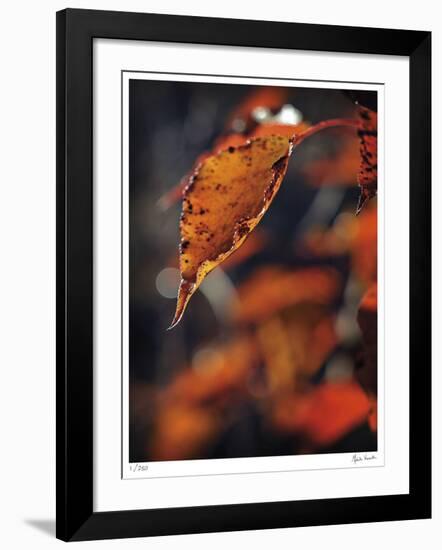 Fall Flames-Michelle Wermuth-Framed Giclee Print