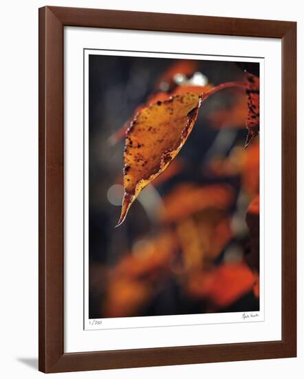 Fall Flames-Michelle Wermuth-Framed Giclee Print