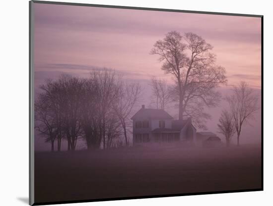 Fall Fog on Suffolk Virginia Farm-Karen Kasmauski-Mounted Photographic Print